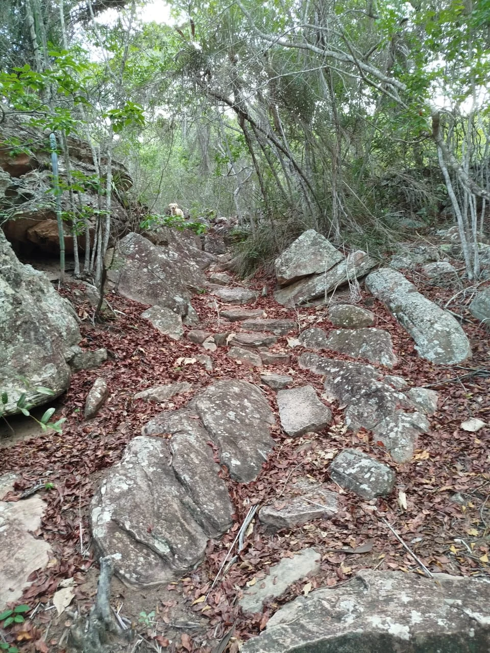 Piedras y caminos — registro de campo 02.