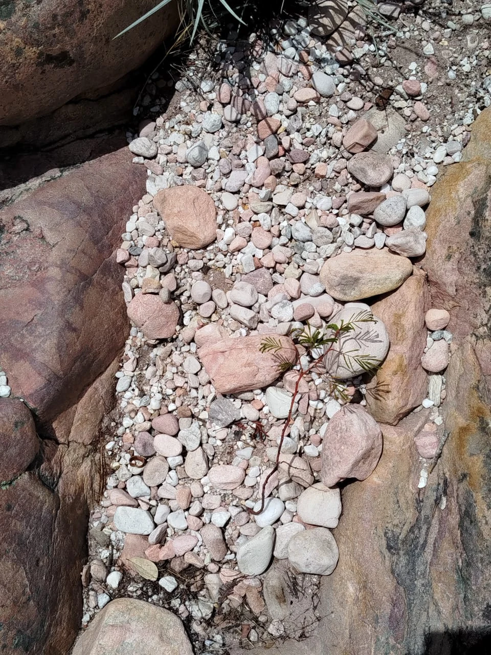 Piedras y caminos — registro de campo 03.