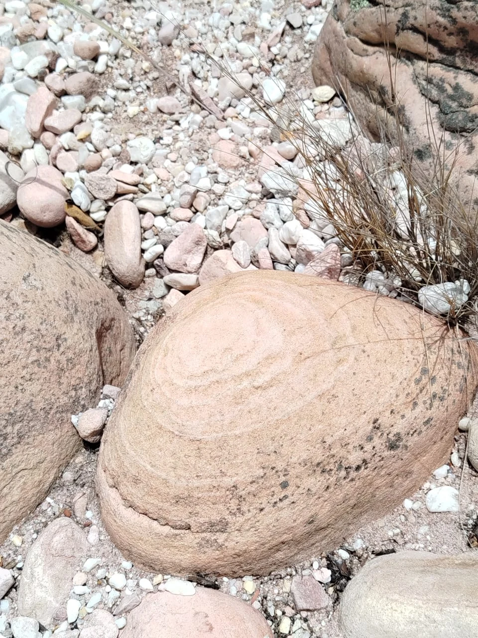Piedras y caminos — registro de campo 05.