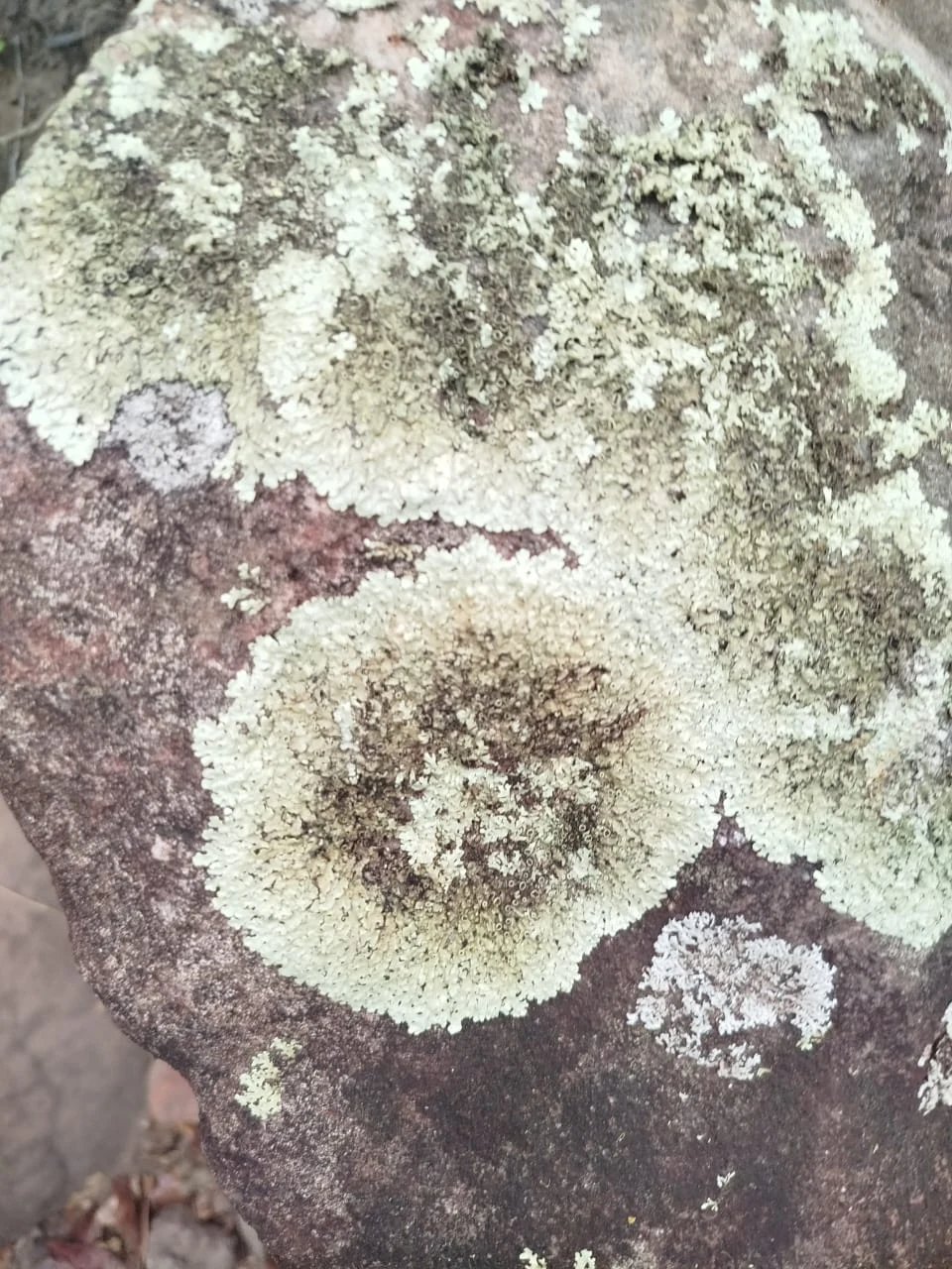 Piedras y caminos — registro de campo 06.