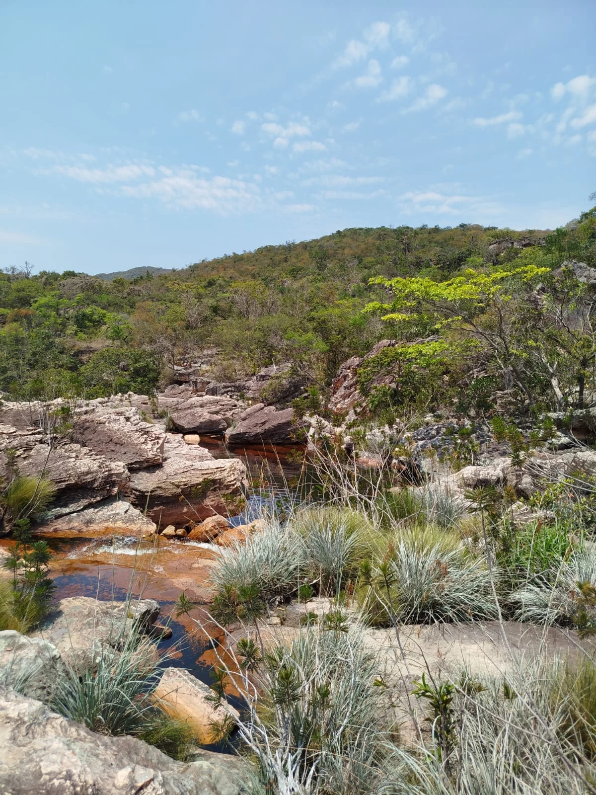 Piedras y caminos — registro de campo 11.