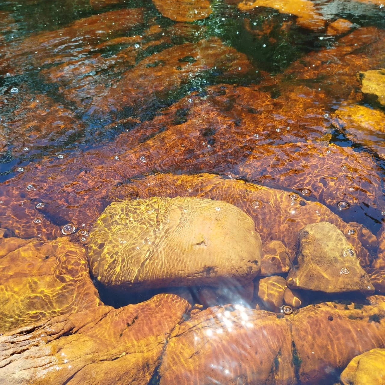 Agua y roca · ámbar — estudio cromático.