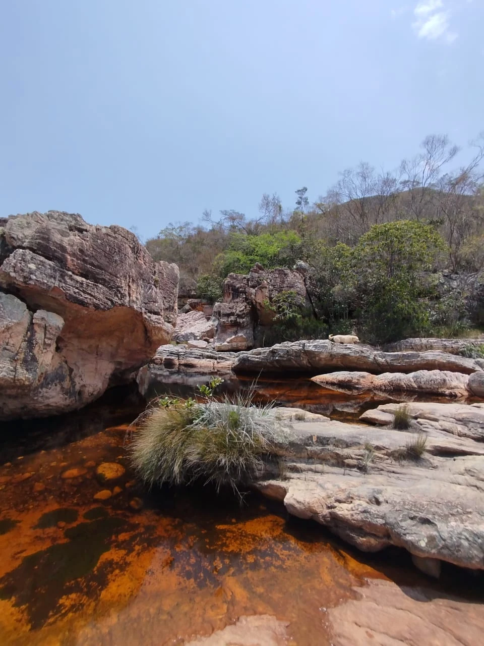 Aguas de Caeté-Açu — registro de campo 12.